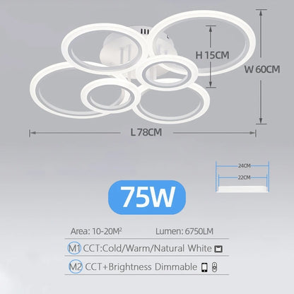 Nordic Minimalist LED Ceiling Light for Home