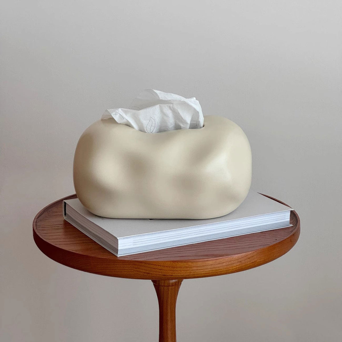 Ceramic Tissue Box Home Decor